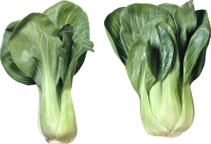 Salad PNG image-2812